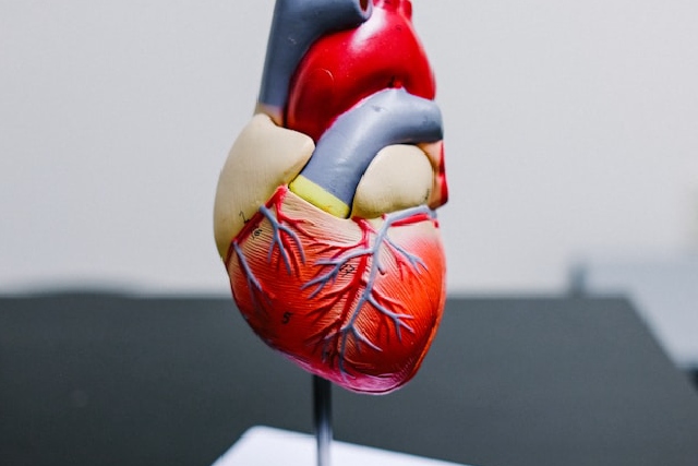 maladies cardiovasculaires